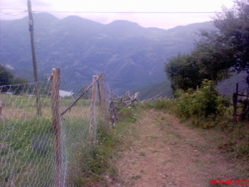 Savaş Köyü