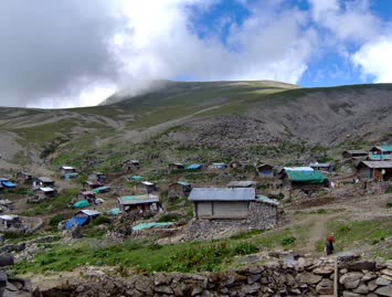 Şaşorti / Cindagi