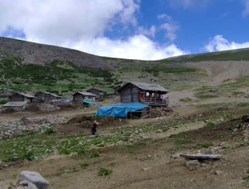 Şaşorti / Cindagi