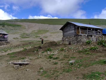 Şaşorti / Cindagi