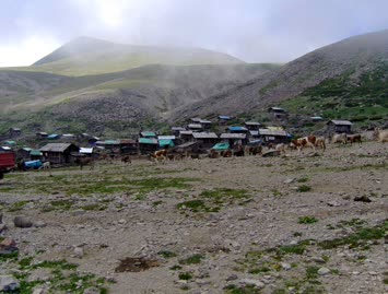 Akşam Üzeri Mal Dönüşü / Cindagi / 25.07.2006