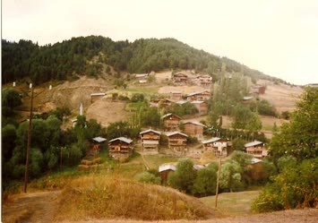 Cüneyt Aydın