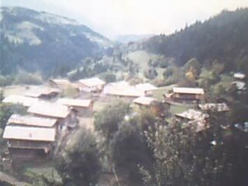 Meşeli