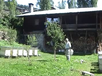 Peranet