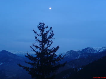Şavşat