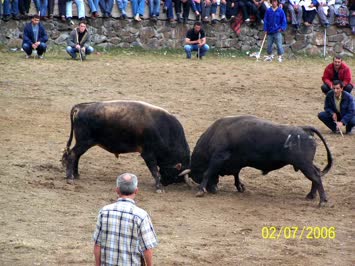 Kafkasör