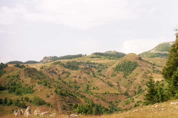 pınarlı/demirciler