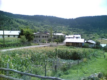 Merya