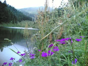 Balık Gölü 2006