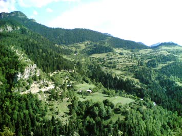 Beleşet