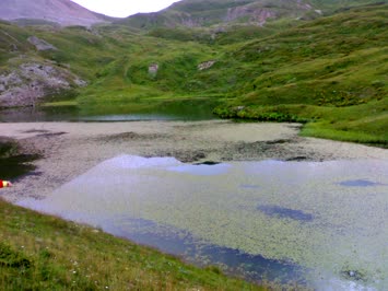 Arsiyan