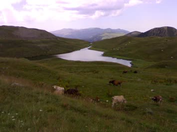 Arsiyan