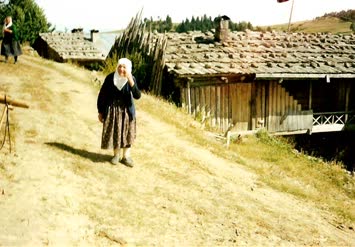 Turmanize