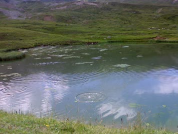 Arsiyan