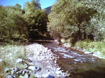 Çay Merya