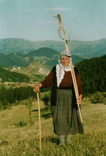 düzülilerden görüntü ve kehriban gül
