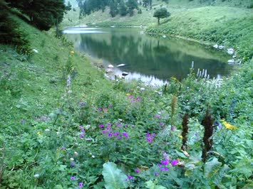 Balık Gölü - 2006
