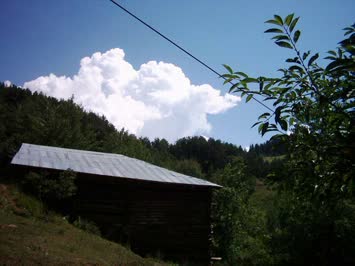 Pamuk Yığını 26/07/2006 Mustafa ZENGİN