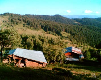 Evimize Kuş Bakışı 27/07/2006 Mustafa ZENGİN