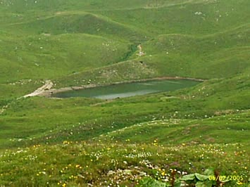 Arsiyan
