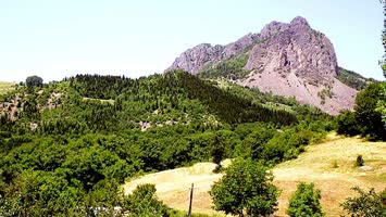 Çamiyara