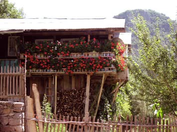 Cirit düzünde bir ev