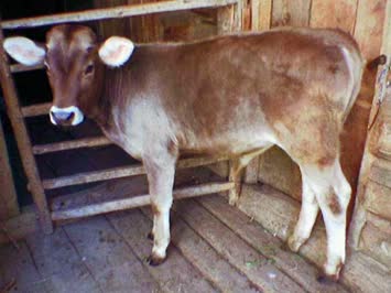 PUÇO