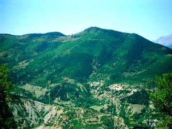 Seslavur