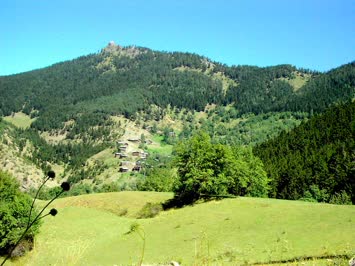 Segogullar Mah.