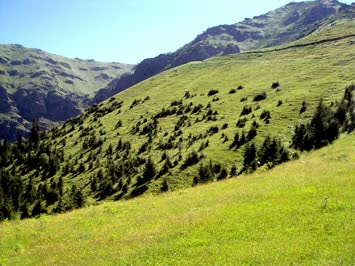 Aşşahki yaylanin bayiri