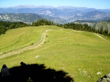 Berbericala