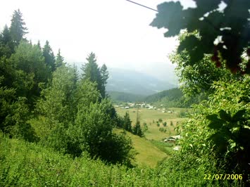 Meşeli
