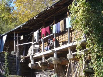 Anıl Koşar