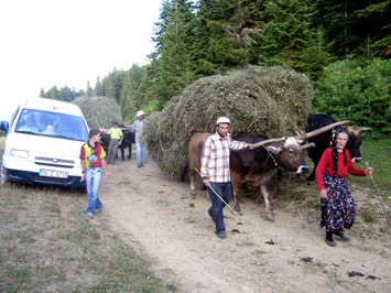Yollarda