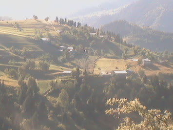 CAGELLAR