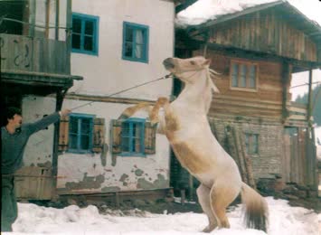 Muhtarin Ati