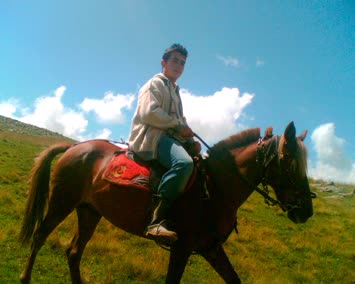 yine cankelek yaylsi