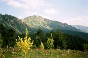 taşlı yayladan bozkaya