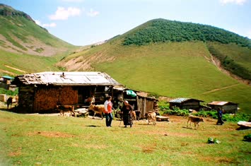taşlı yayla