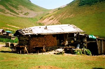 taşlı yayla 1 2006