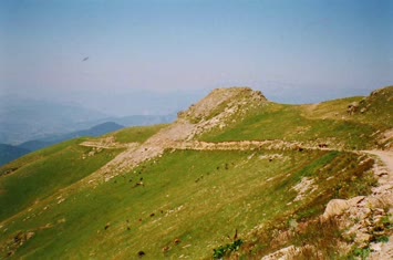 Meşeli kışla yolu