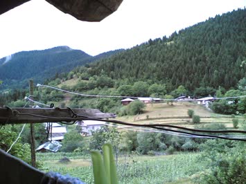 Merya Citolar 2006