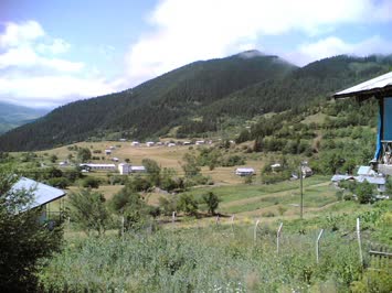 Merya mehle 2006