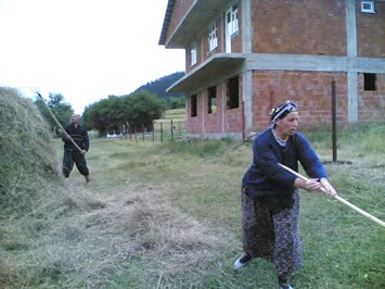 Tahsinle Eşi Cayir Yigiyor / 2006