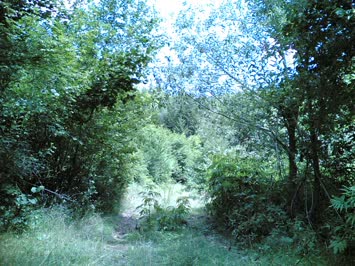 Kadicala Merya / 2006