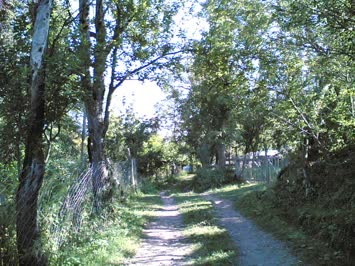 Pirpizelar / Merya