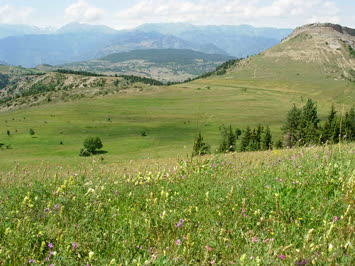 Şavşat