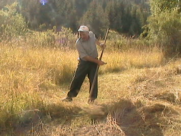 MİKAİL BARAN