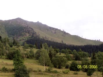 Çartulet
