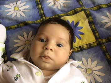 Ferhan Altun Galeri